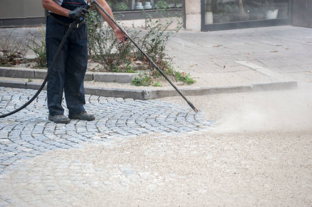 Best House Exterior Washing  in Chester, CA